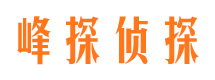 湖滨资产调查